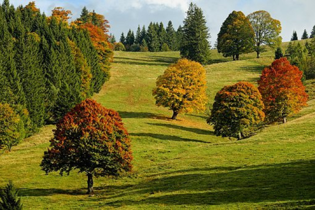 Ode to autumn