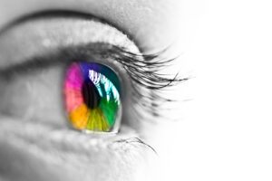 The Human Eye and the Colourful World