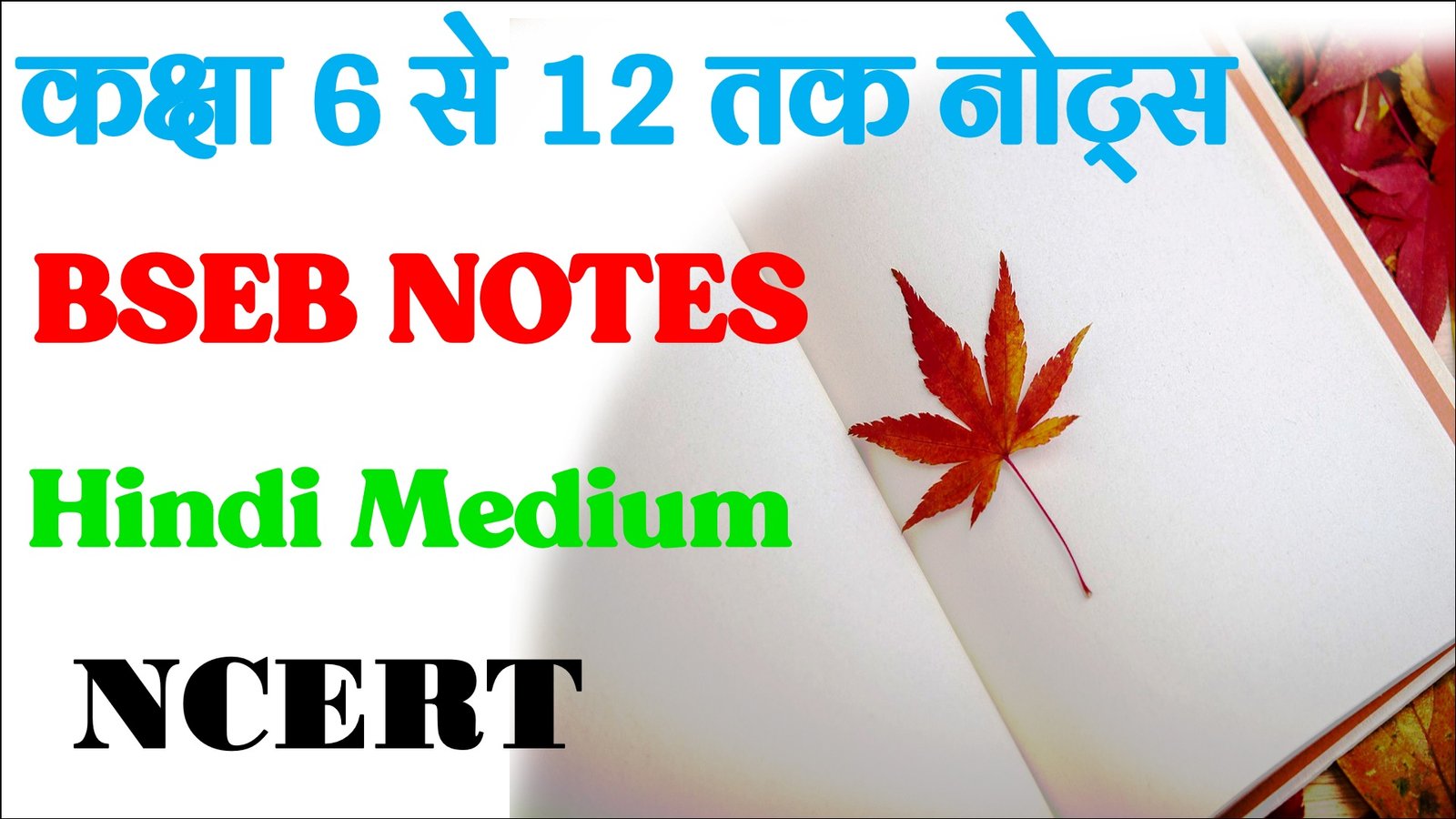 Bseb Class 6 to 12 notes in hindi medium